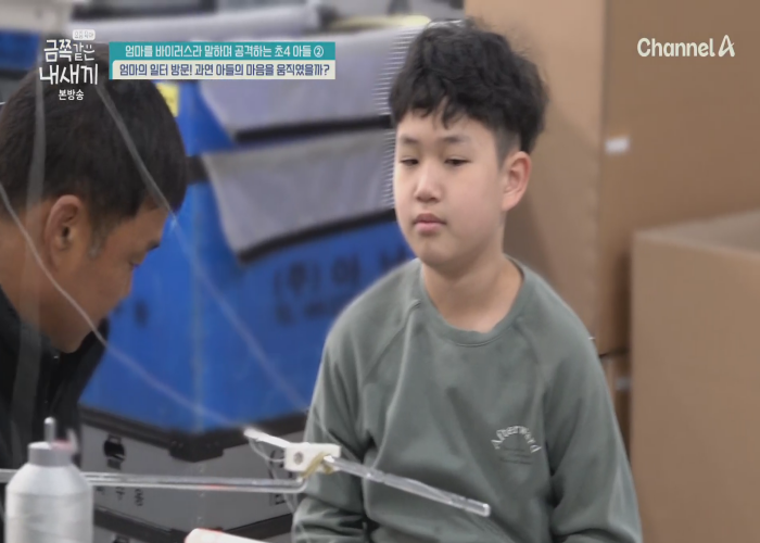 무료티비